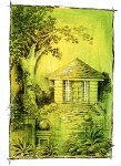 lime
